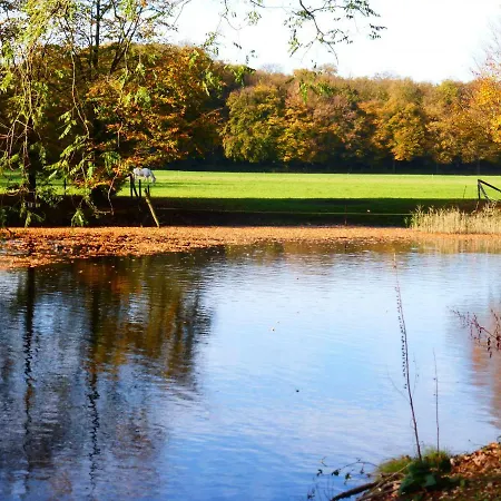De Zanderij 's-Graveland