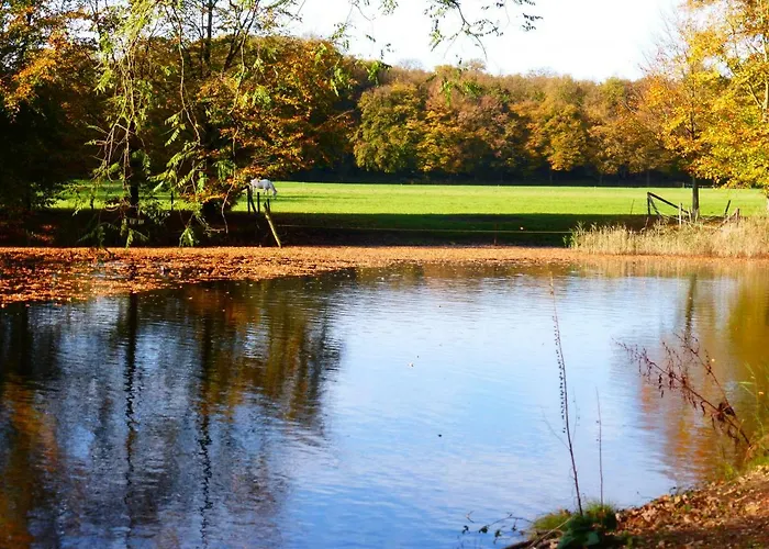 De Zanderij 's-Graveland