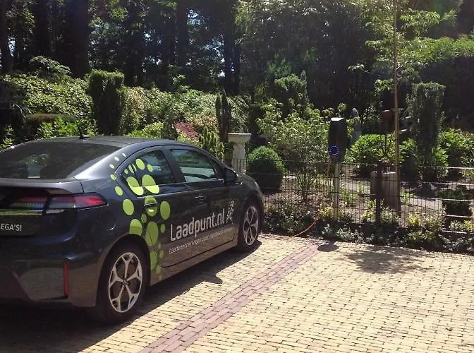 沙坑住宿加早餐旅馆